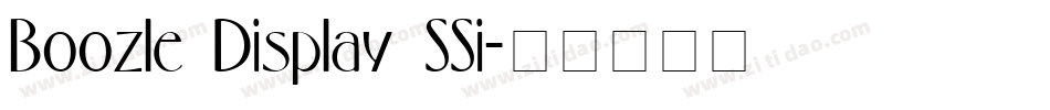 Boozle Display SSi字体转换